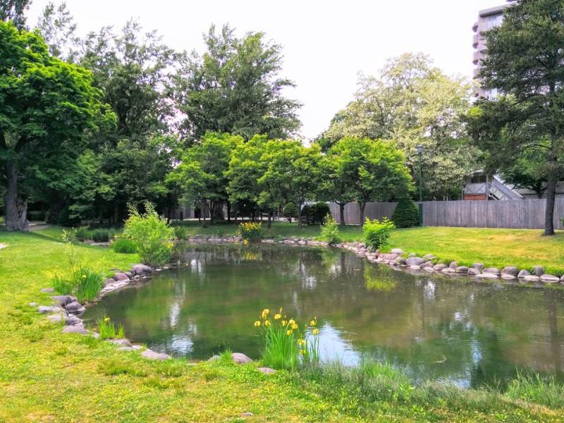 中島公園 園内風景１９