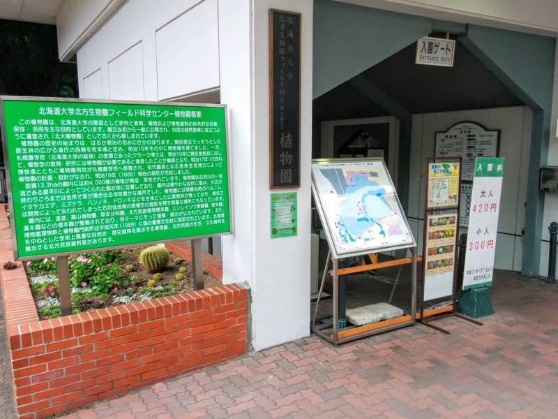 北海道大学植物園は見どころ満載！｜北海道札幌市 | ゆういちろグ