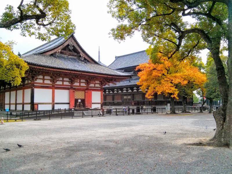 東寺 金堂と講堂