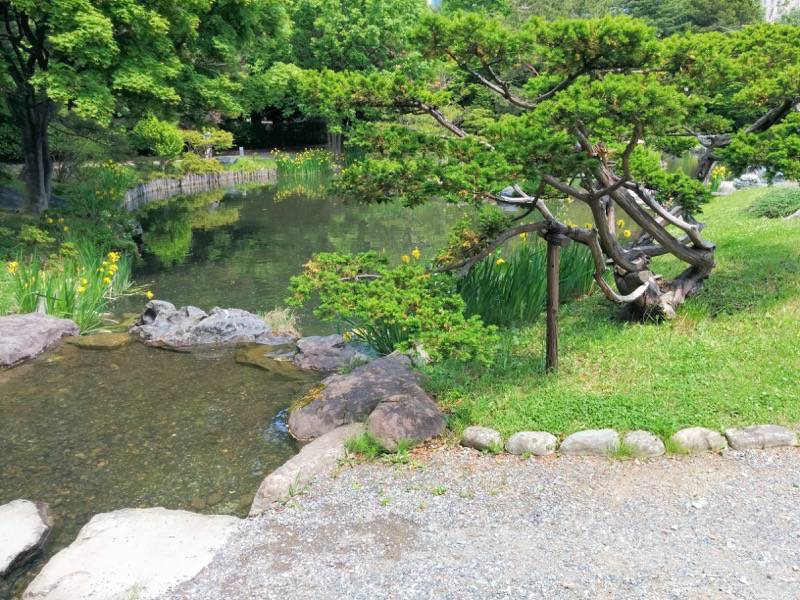 中島公園-日本庭園園内7.jpg 中島公園 日本庭園園内7