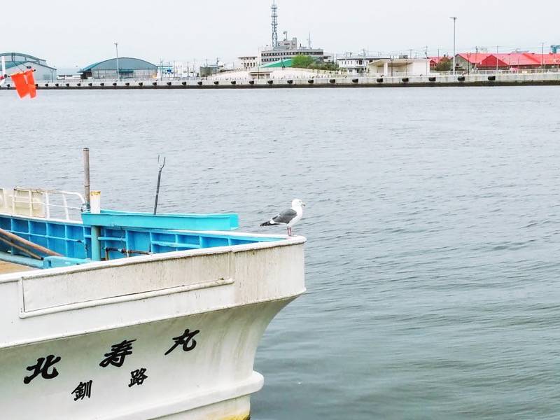 釧路 かもめ船の上