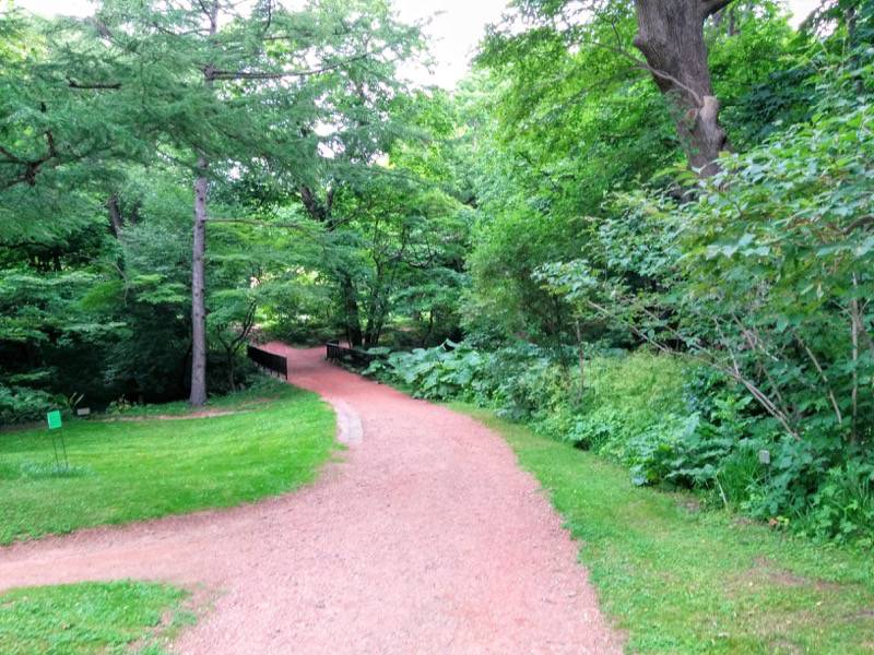 北海道大学植物園-宮部金吾記念館〜灌木園間1.jpg 北海道大学植物園 宮部金吾記念館 灌木園間1