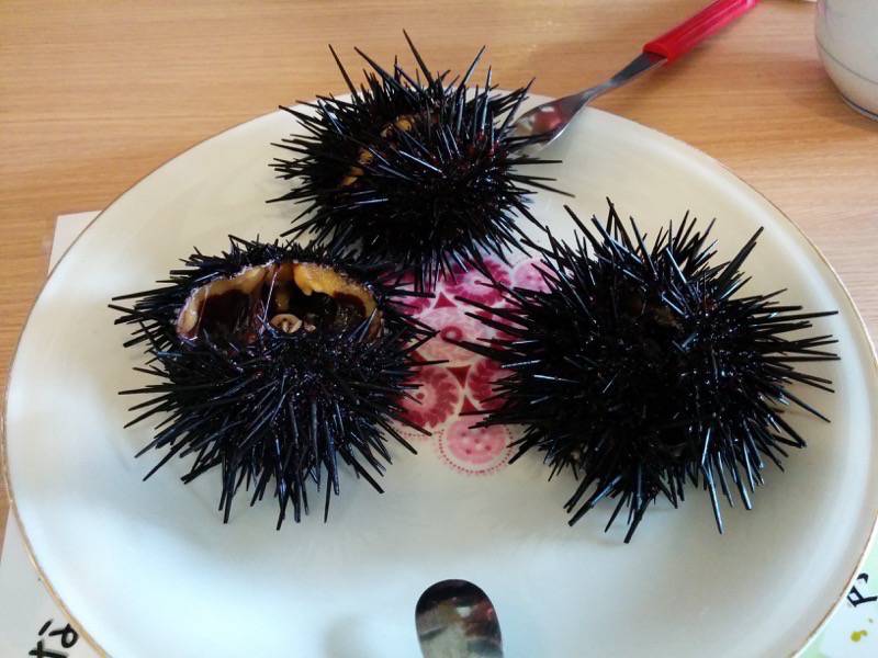 積丹の幸みさき 活うに