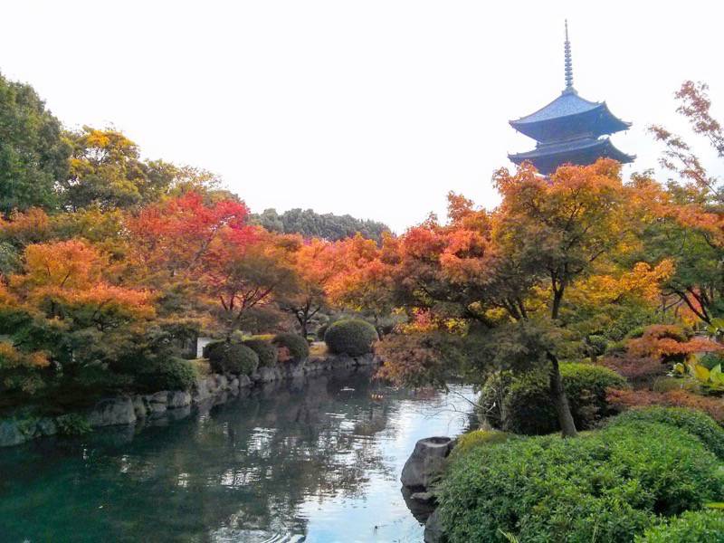 東寺 五重塔前１