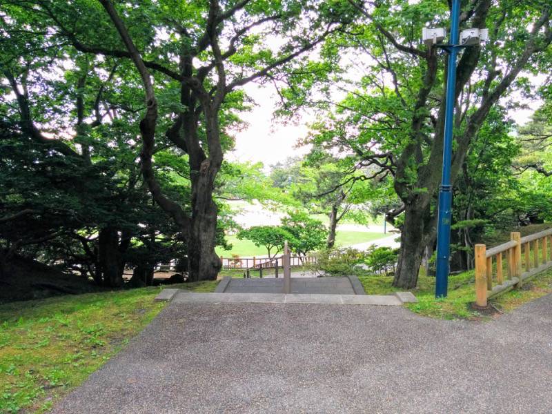 函館公園 園内歩道２