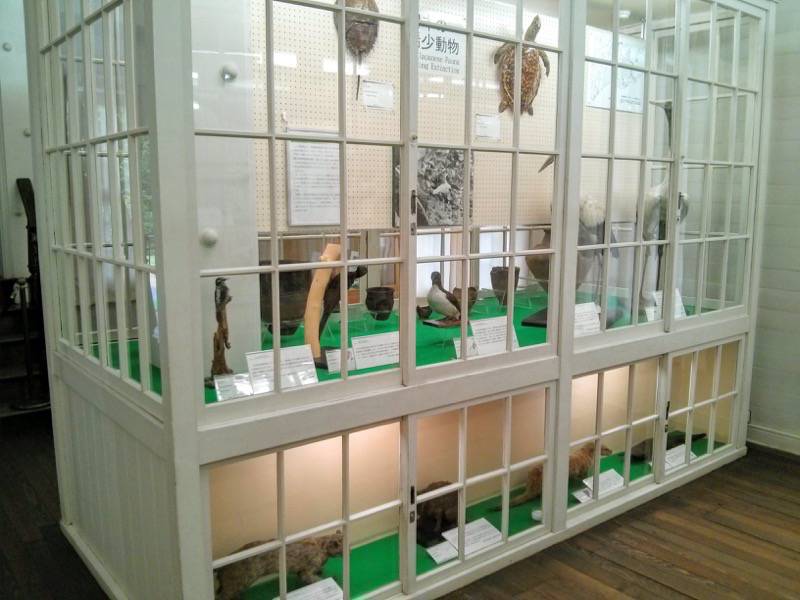 北海道大学植物園-博物館内11希少動物.jpg 北海道大学植物園 博物館内11希少動物