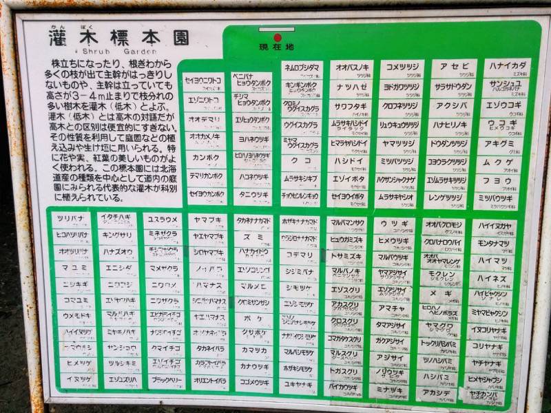 北海道大学植物園 灌木園標本園マップ
