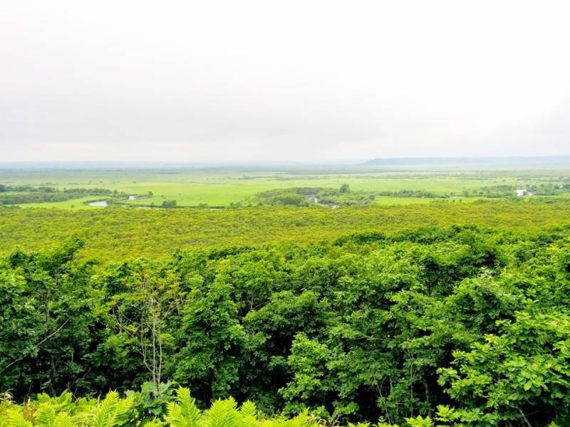 細岡展望台からの眺め3.jpg 細岡展望台からの眺め3