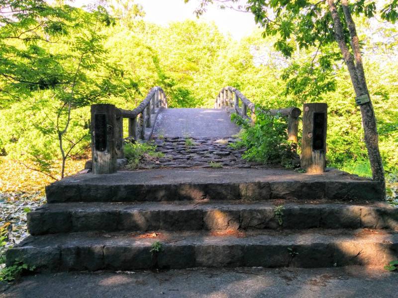 大沼公園-夕日の道-小沼橋.jpg 大沼公園 夕日の道 小沼橋