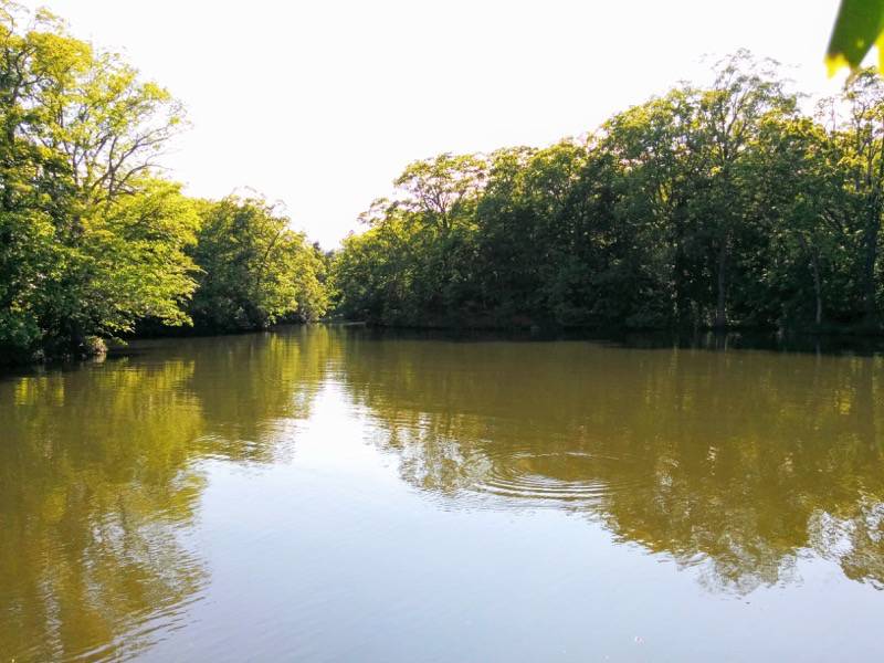 大沼公園-島巡りの路-八め橋から後楽橋まで.jpg 大沼公園 島巡りの路 八め橋から後楽橋まで