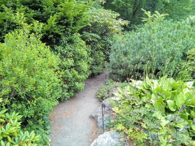 北海道大学植物園 カナディアンロックガーデン６