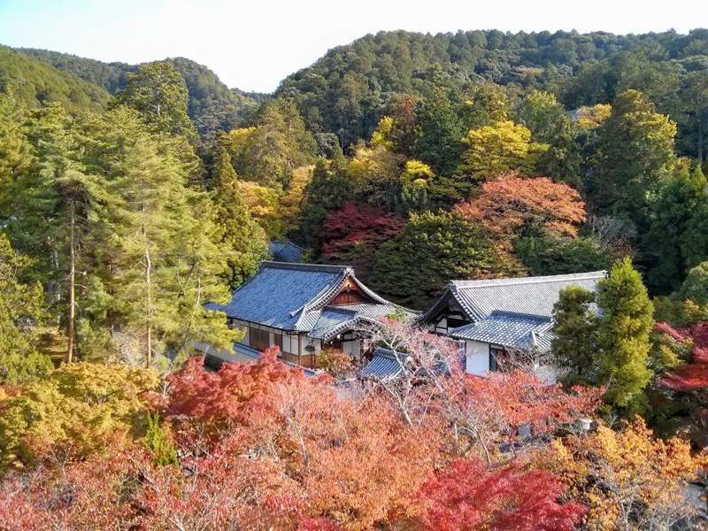 南禅寺-三門からの眺め南側2.jpg 南禅寺 三門からの眺め南側2