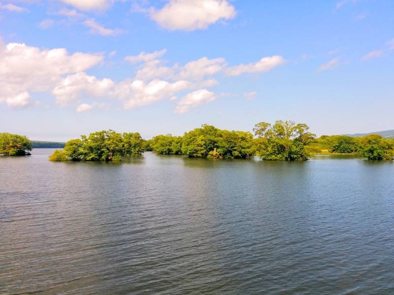 大沼公園-島巡りの路-公魚島より2.jpg 大沼公園 島巡りの路 公魚島より2