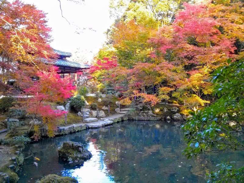 南禅寺 天授庵書院南庭６