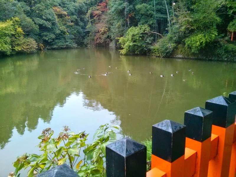 伏見稲荷 新池