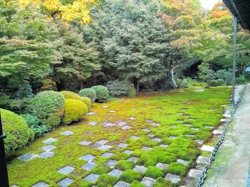 東福寺 本坊庭園北庭１