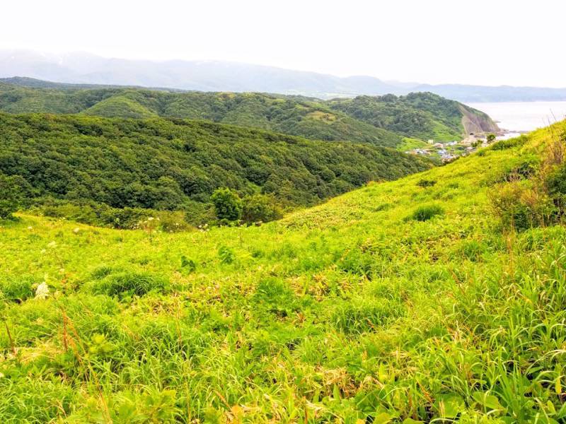 積丹岬 自然遊歩道１１