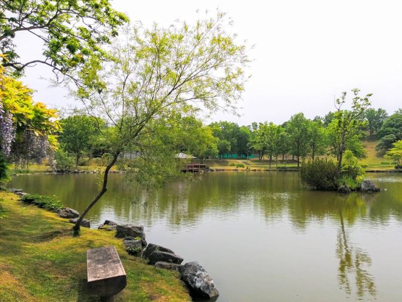 鶴ケ岱公園 ひょうたんの池３