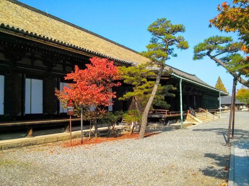 蓮華王院-三十三間堂10.jpg 蓮華王院 三十三間堂10