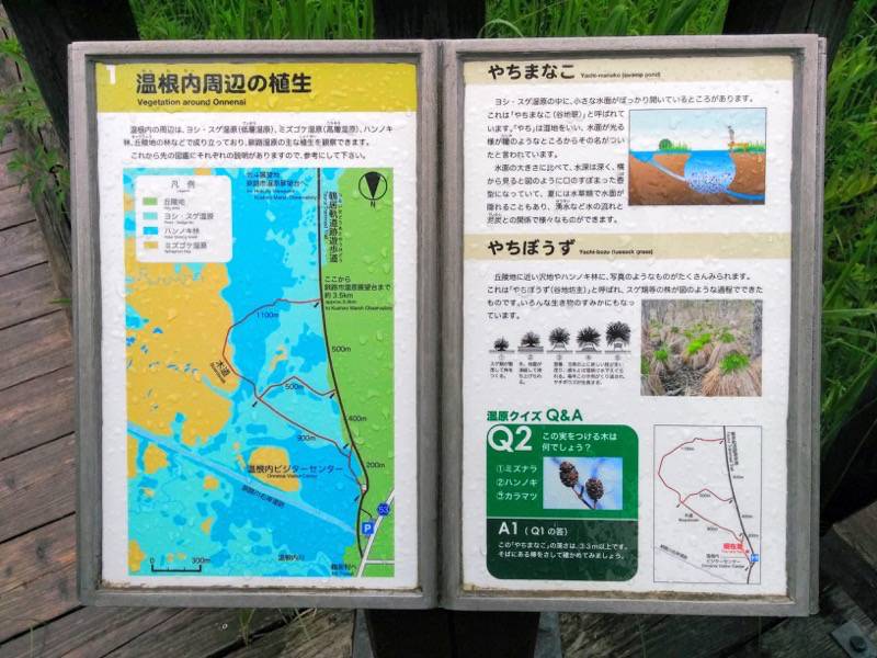 温根内木道1.jpg 温根内木道1