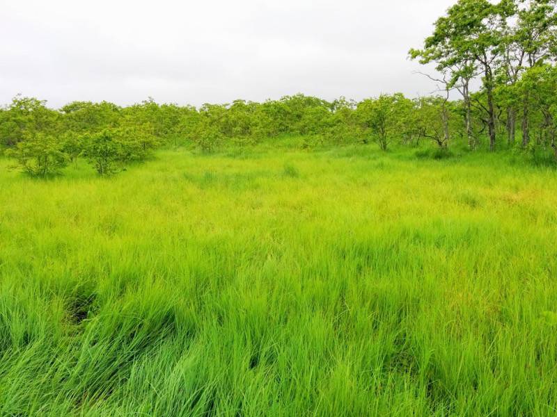 温根内木道3−1.jpg 温根内木道3−1