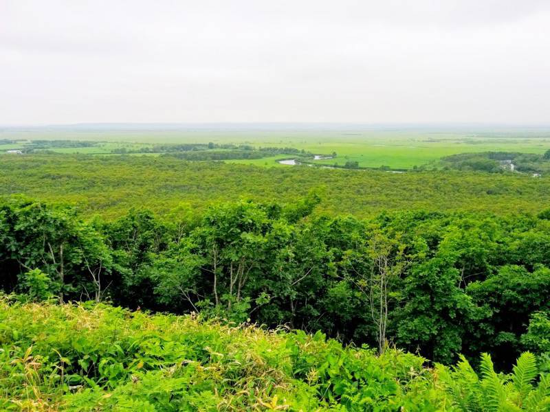 細岡展望台からの眺め8.jpg 細岡展望台からの眺め8