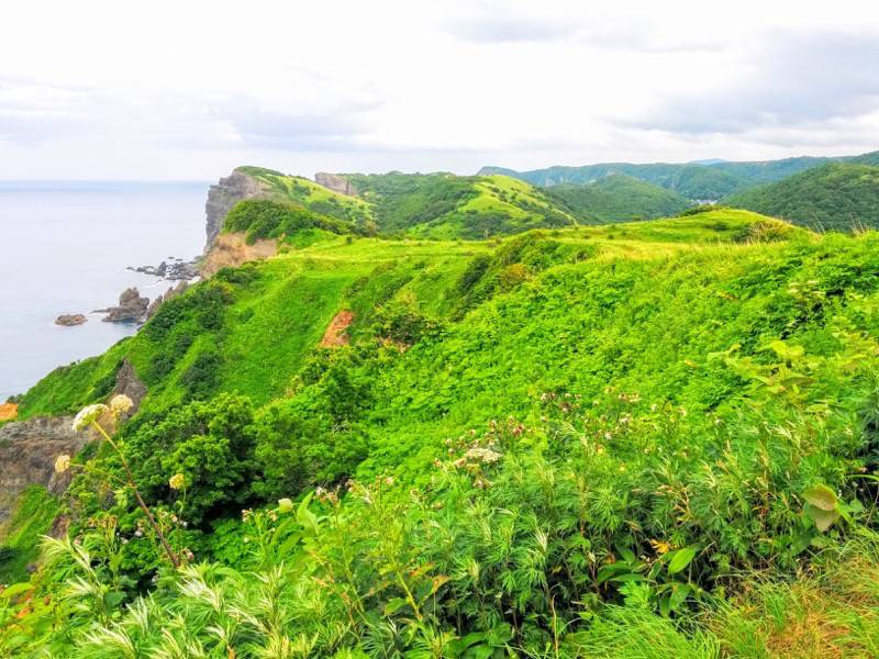 積丹岬 自然遊歩道８