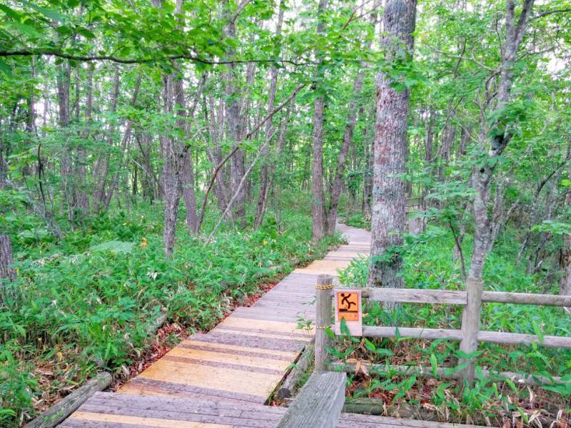 温根内ビジターセンターへ2.jpg 温根内ビジターセンターへ2