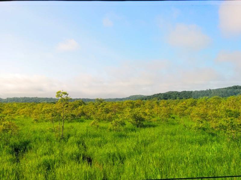 釧路〜根室-厚岸・根室間の湿原2.jpg 釧路 根室 厚岸 根室間の湿原2