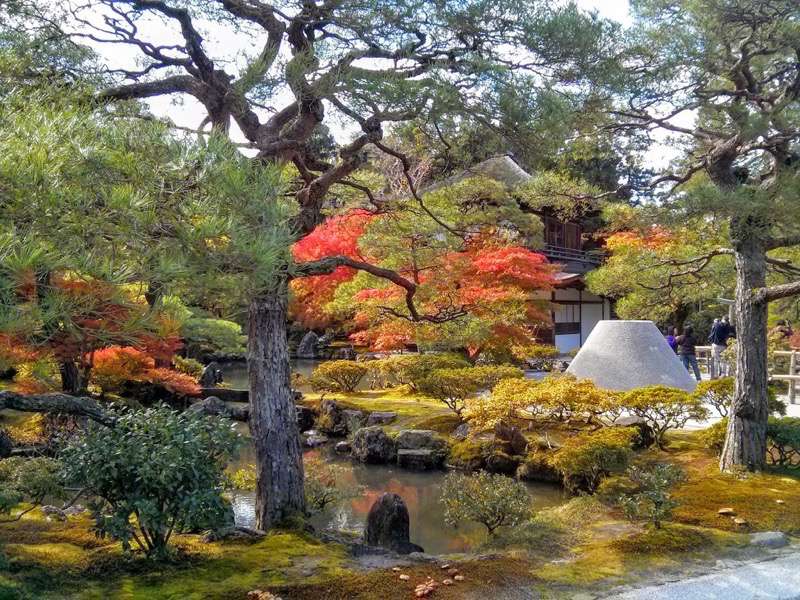 銀閣寺-庭園内の木々1.jpg 銀閣寺 庭園内の木々1