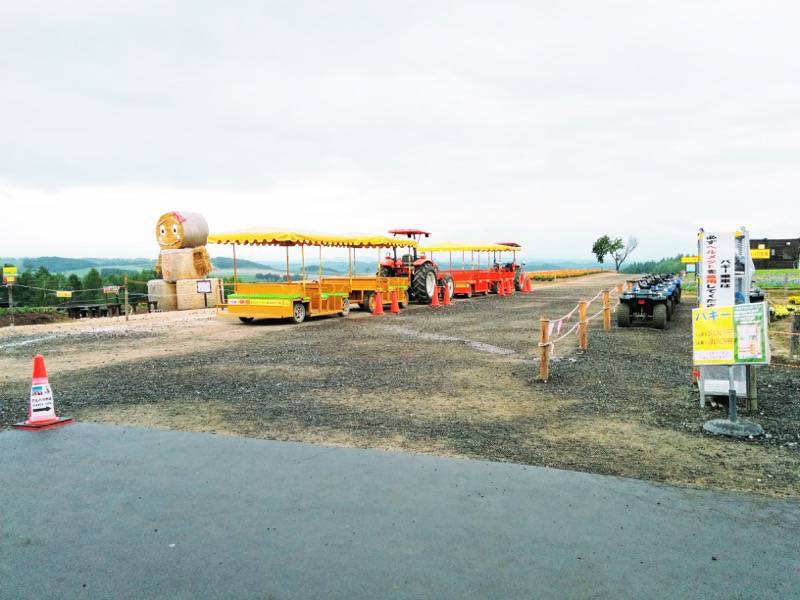 美瑛 四季彩の丘ノロッコ