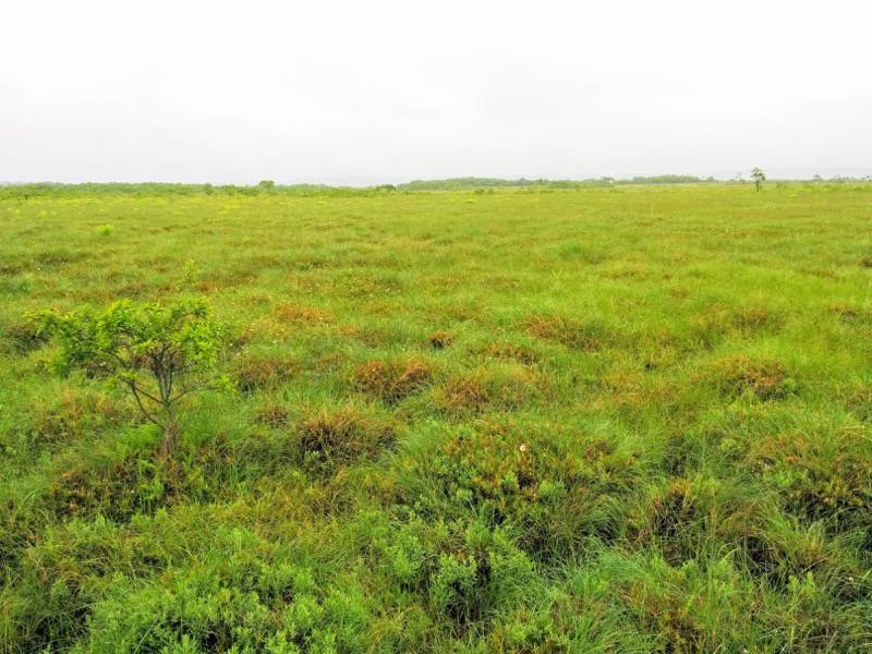 温根内木道7−7.jpg 温根内木道7−7