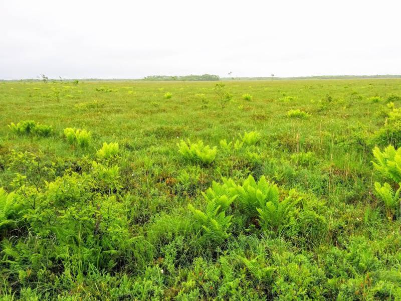 温根内木道7−3.jpg 温根内木道7−3