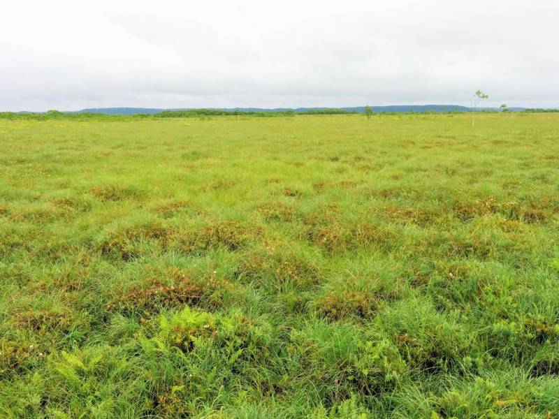 温根内木道7−10.jpg 温根内木道7−10