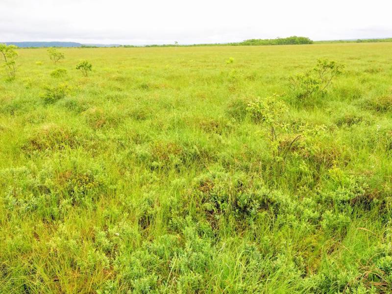 温根内木道7−5.jpg 温根内木道7−5