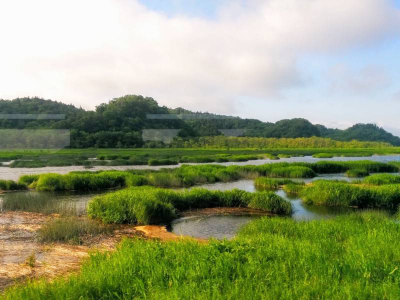 釧路〜根室-厚岸湖8.jpg 釧路 根室 厚岸湖8