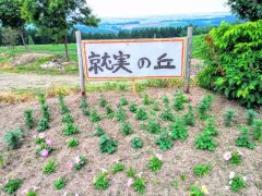 絶景！西神楽就実の丘｜北海道旭川市