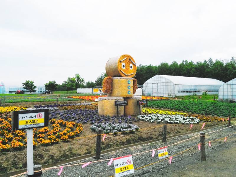 美瑛 四季彩の丘ロール君