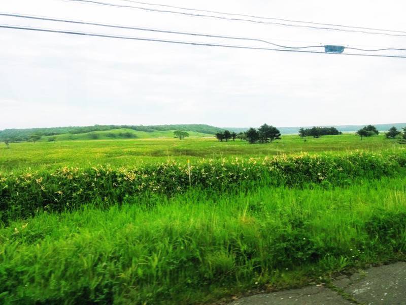 根室 納沙布岬間の景色１