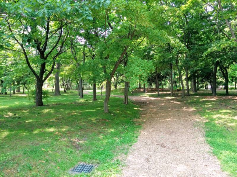 中島公園 園内風景１２