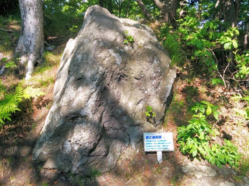大沼公園-島巡りの路-アイヌ島岩と地衣類.jpg 大沼公園 島巡りの路 アイヌ島岩と地衣類