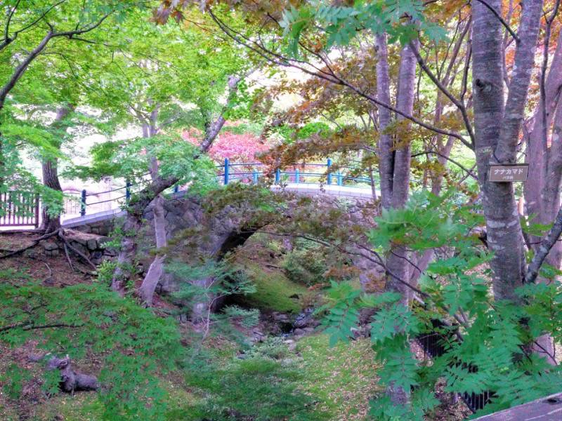 函館公園 園内歩道１１
