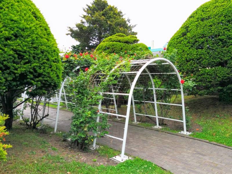 函館市旧イギリス領事館 ガーデン４
