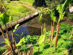 潮井水源に立ち寄りました｜熊本県益城町