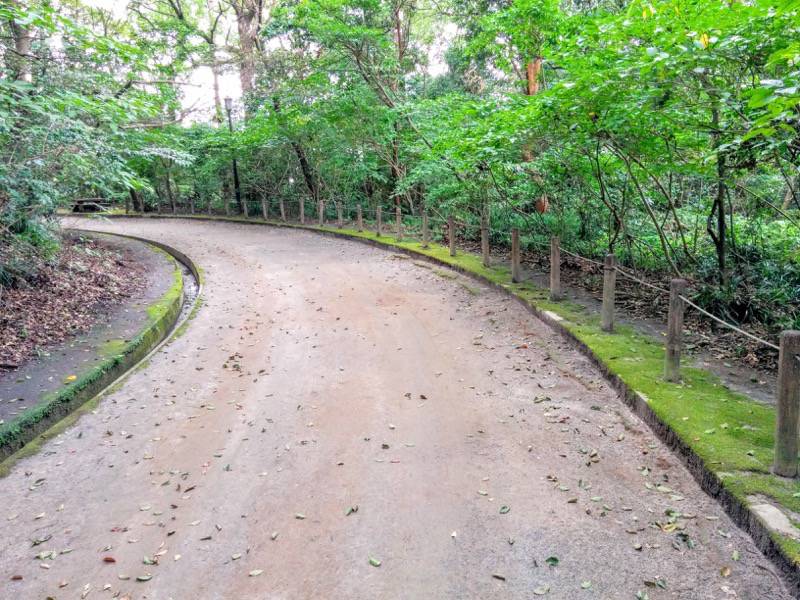 西郷隆盛南州洞窟 城山展望台からの道２