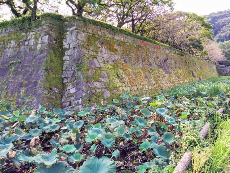鶴丸城 鹿児島城 石垣２