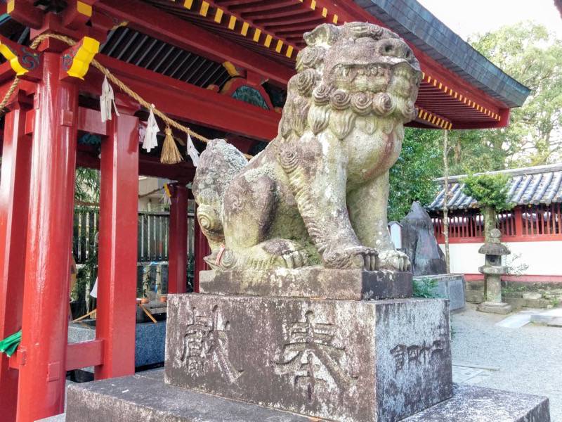 青井阿蘇神社-狛犬1.jpg 青井阿蘇神社 狛犬1