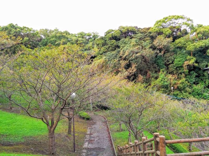 多賀山公園 園内１