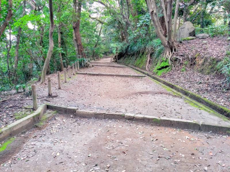 城山自然遊歩道23.jpg 城山自然遊歩道23