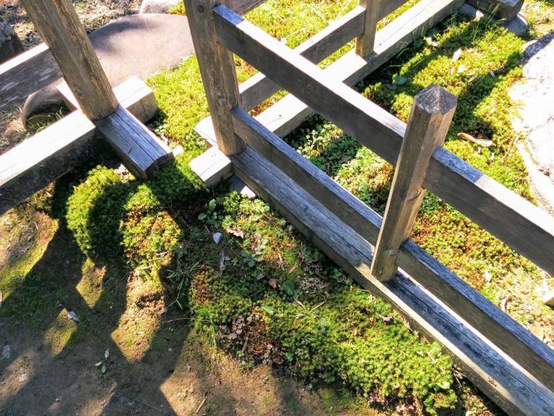 青井阿蘇神社文化苑 庭園の様子６